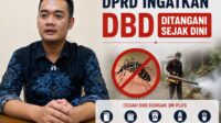 1dbdc47a-1394-4b29-8f94-1f2b71b76248